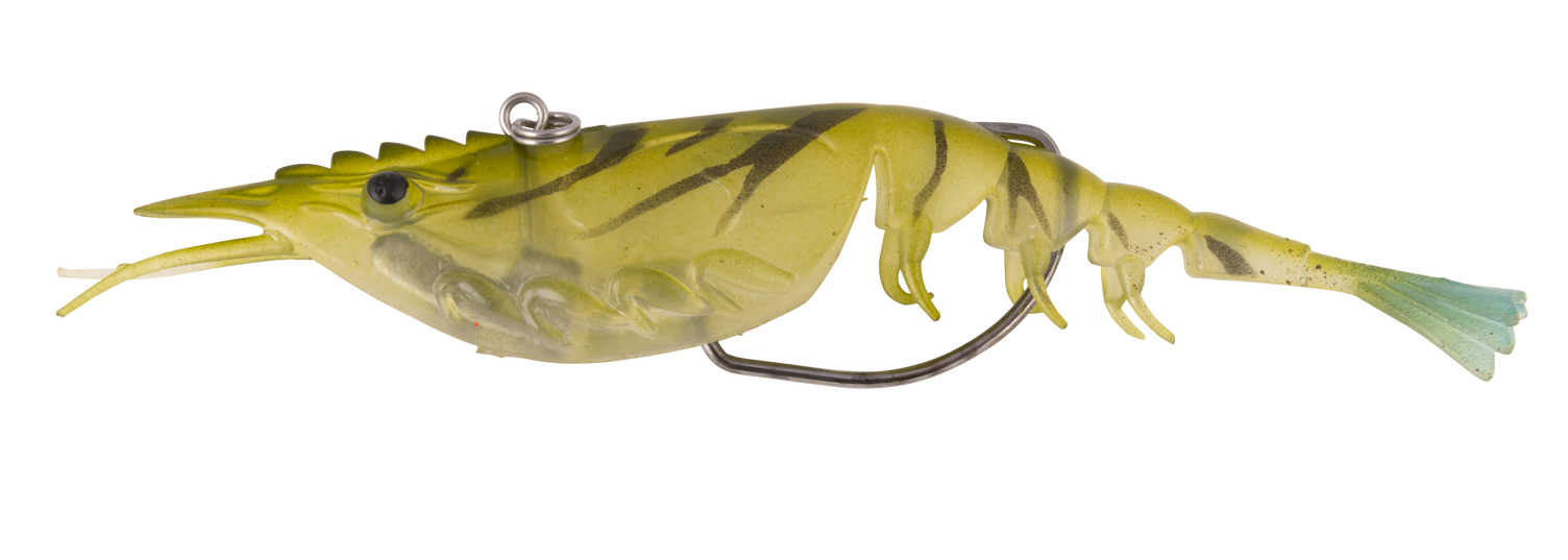 Berkley 2022 Shimma Shrimp - Berkley Fishing